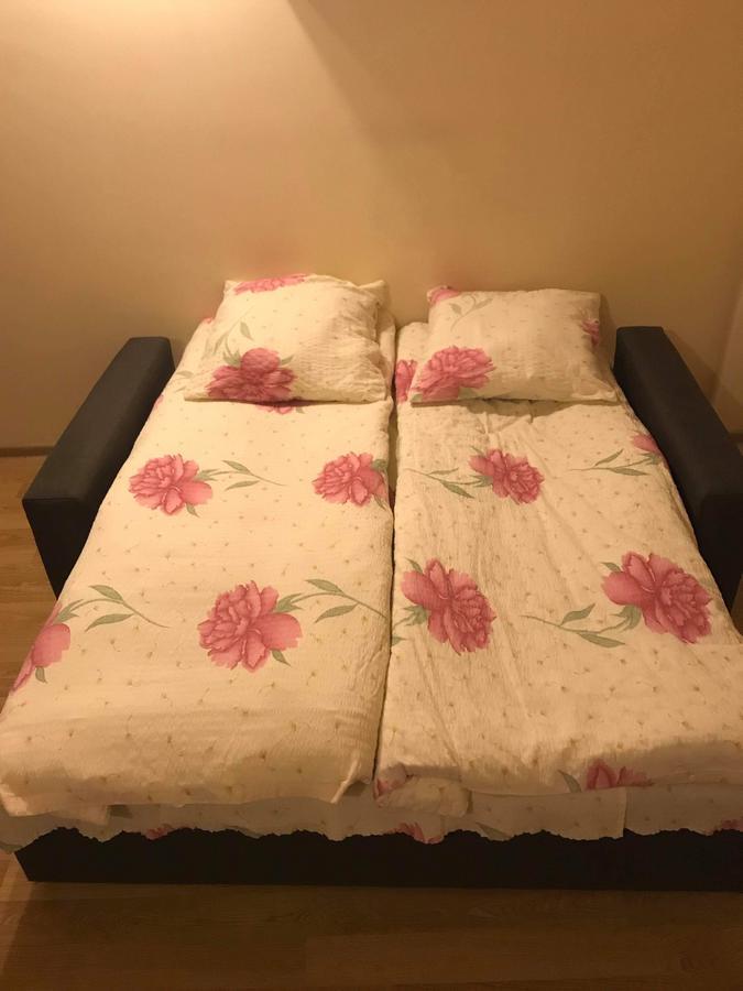 Gudauri S Residence エクステリア 写真